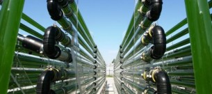 Agro&Food, WUR