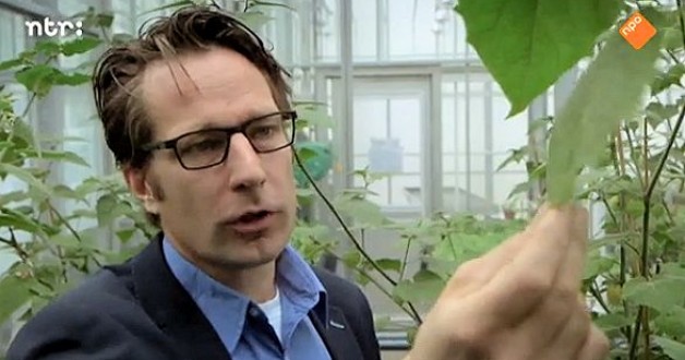 Een kunstmatig blad