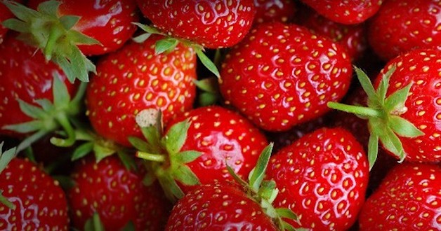 Etheenvanger voor fruit